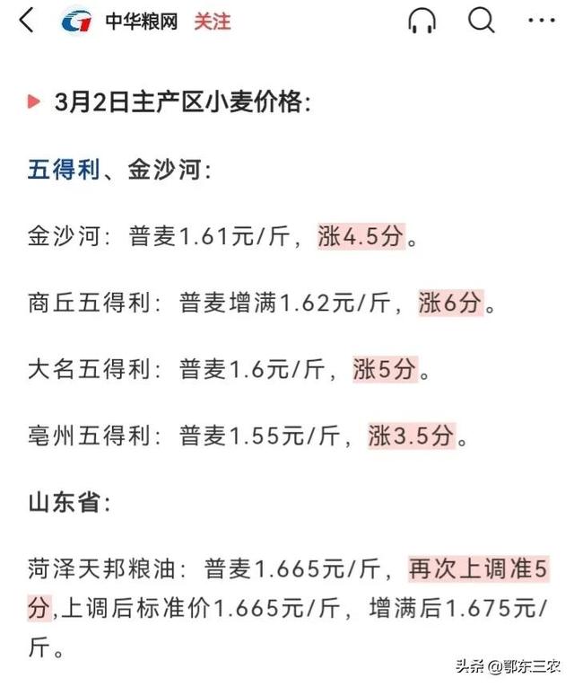 最新小麦价格走势分析