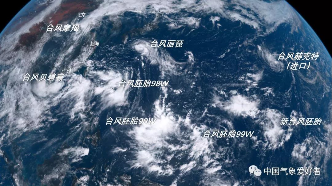 最新台风动态与影响分析报告