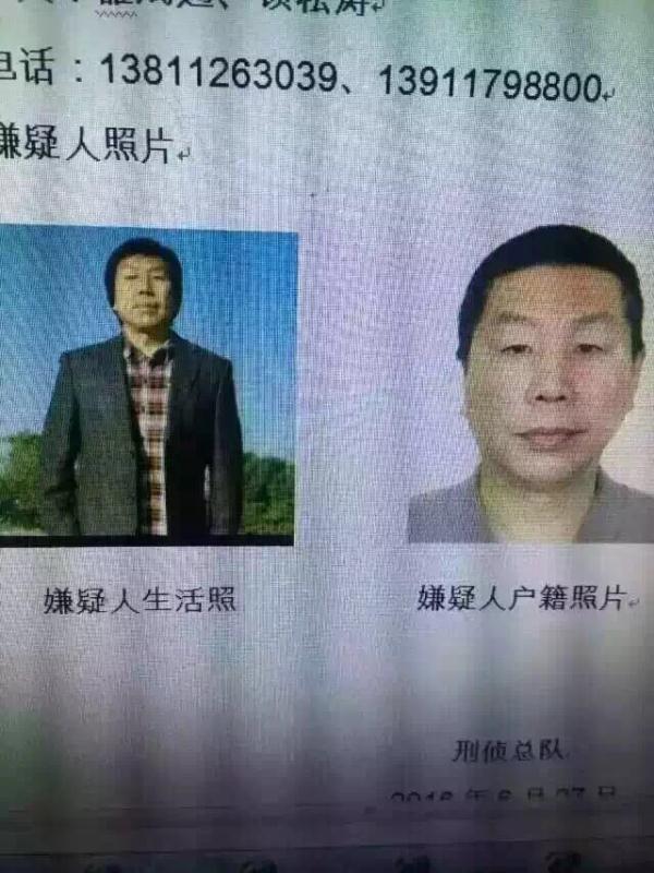 最新杀人案，探究真相与反思社会现实