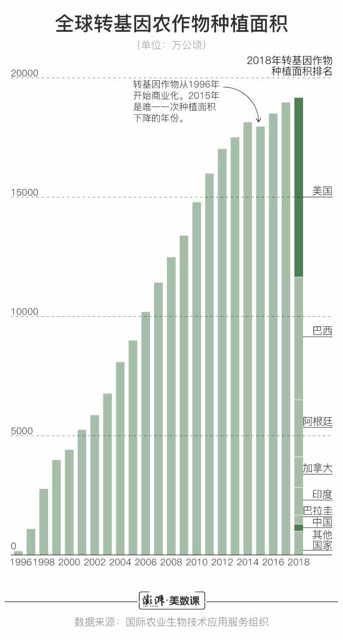 转基因科技最新动态，挑战与机遇并存