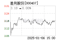 胜利股份最新动态全面解读