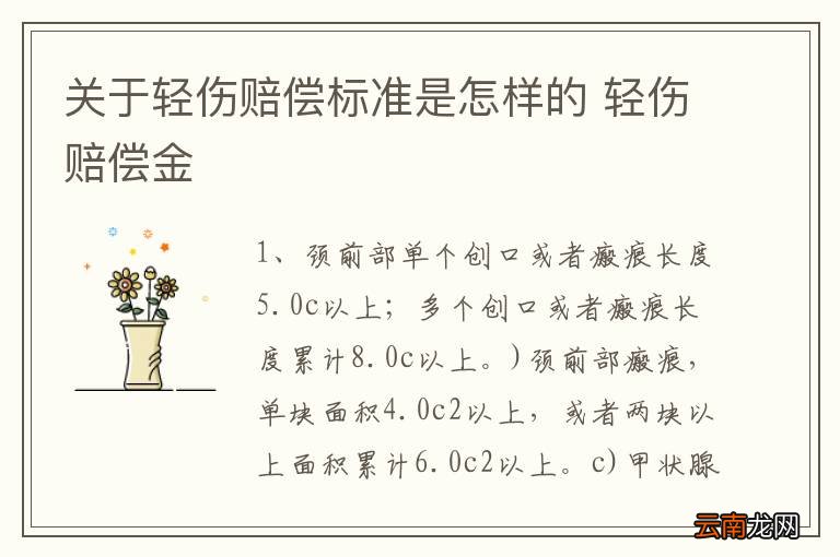 轻微伤赔偿最新标准解析与应用指南