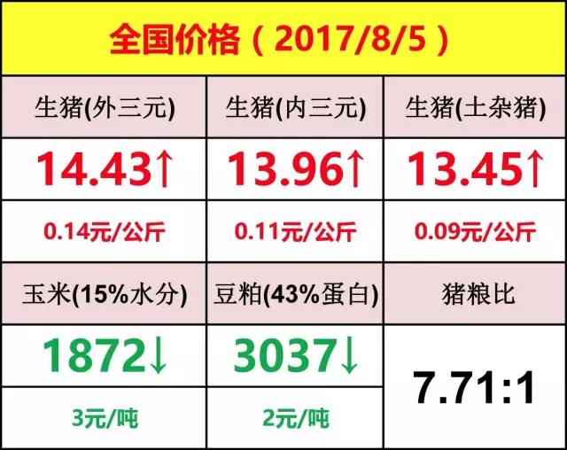 河南生猪价格今日动态更新