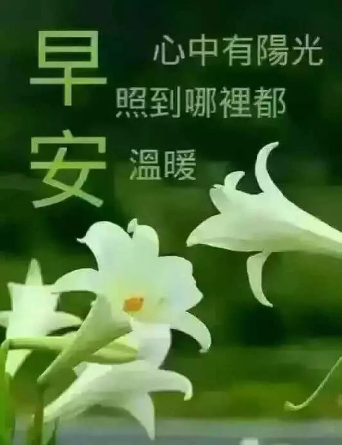 早上好温馨带字图片，开启美好一天的大门