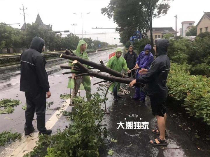 桐乡台风实时更新，最新消息汇总