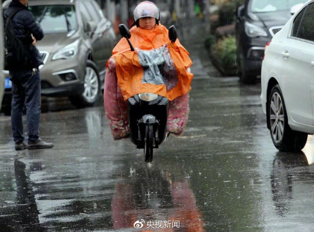 最新全国天气预报概览