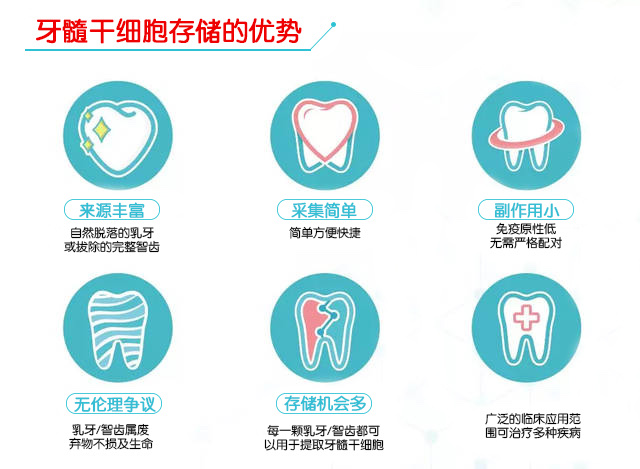 干细胞再生牙最新进展，突破成果与未来前景展望