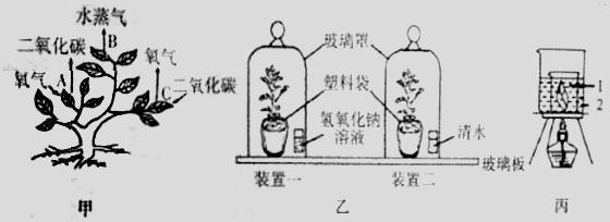 河北乙连生物引领行业发展前沿动态的最新消息