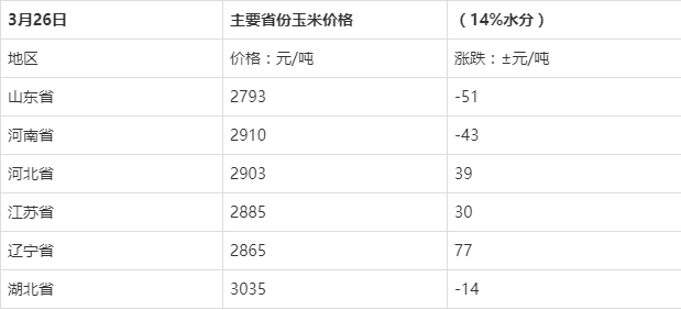 玉米价格最新行情走势解析