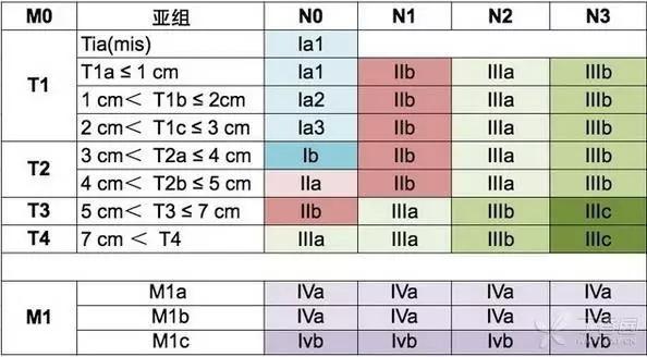 最新TNM分期标准在肿瘤诊疗中的应用及意义解析