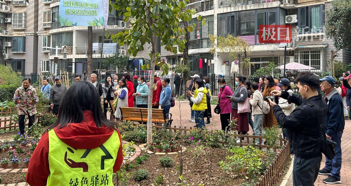 草社区绿色生活新动态，探索无限绿色可能