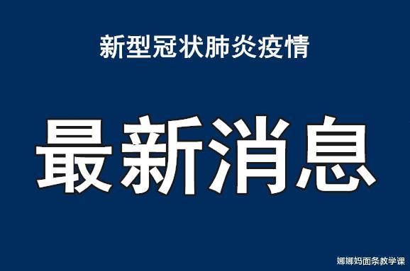 全球抗击疫情新进展与挑战，新型肺炎最新动态概述