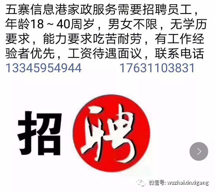 博山信息港最新招聘动态及其社会影响分析