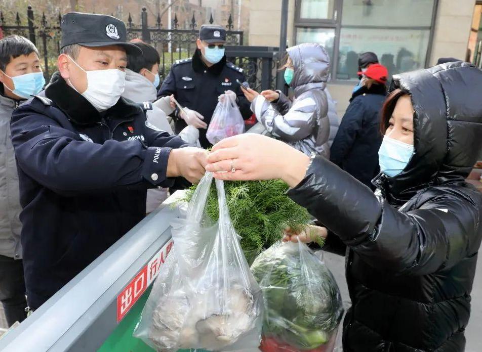 麻山药价格行情最新分析